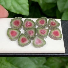 Concentric Color Zoned Rare Natural Watermelon Tourmaline Slices for Jewellery
