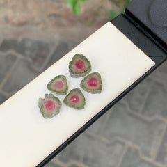 Concentric Color Zoned Rare Watermelon Tourmaline Slices for Earrings Jewelry