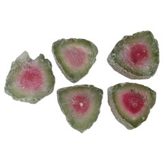 Concentric Color Zoned Rare Watermelon Tourmaline Slices for Earrings Jewelry