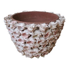Conch Shell Encrusted Terra Cotta Planter Pot, 20th Century