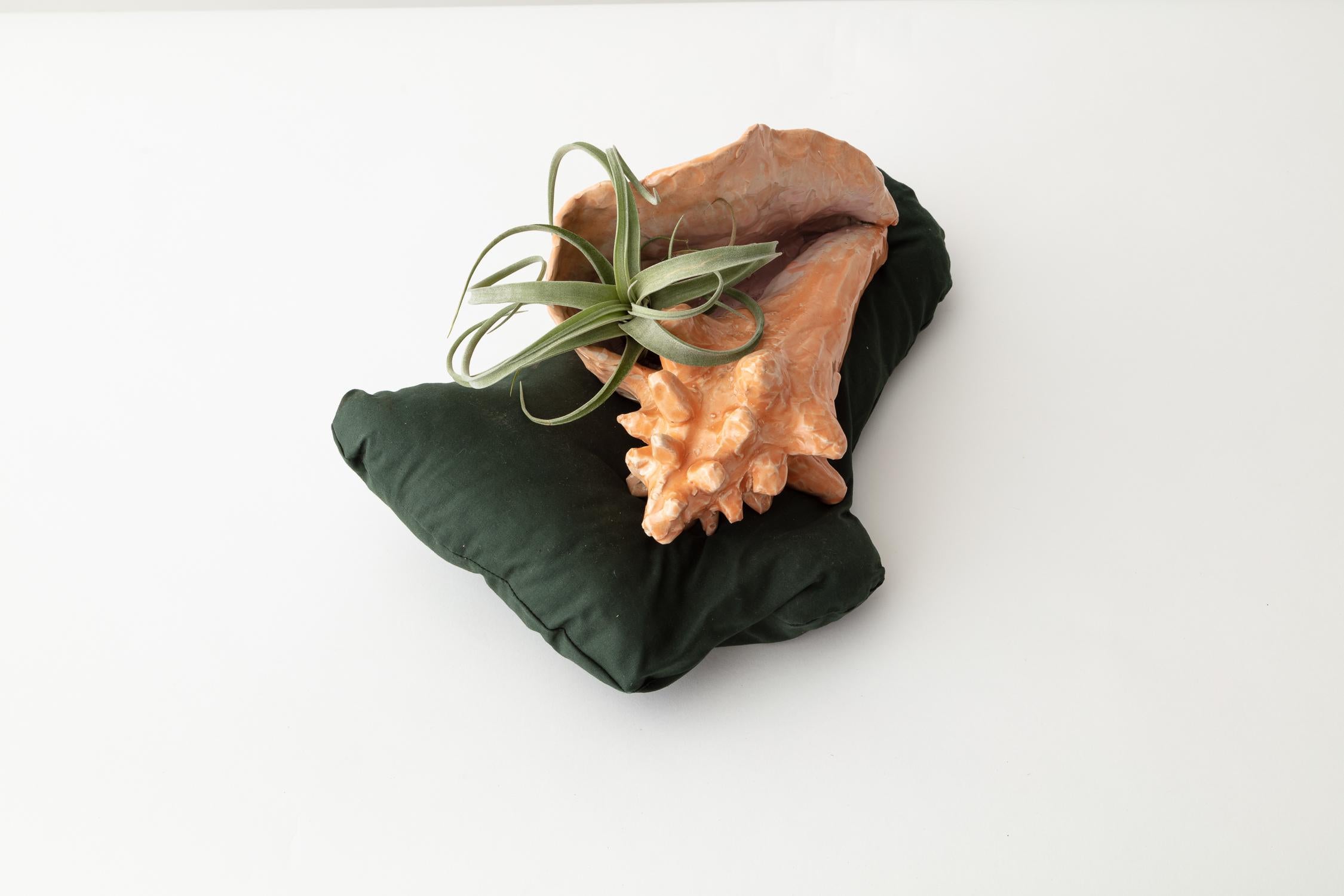 Modern Conch Shell Glazed Earthenware Planter Unique Edition