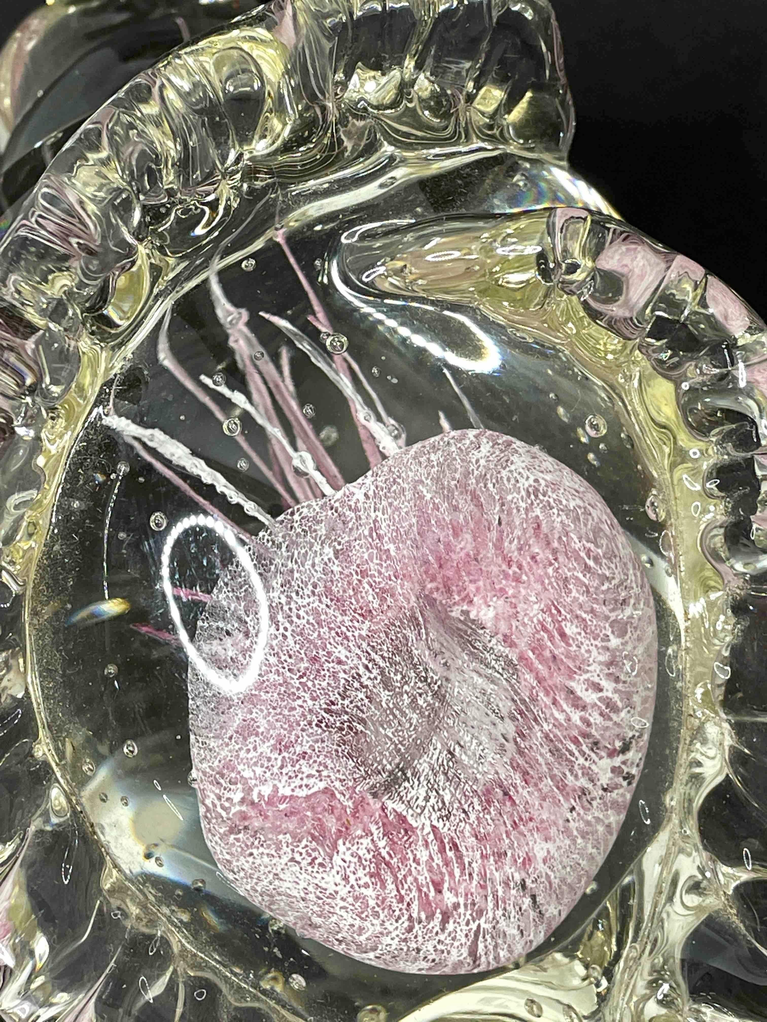 Conch Shell Jellyfish Murano Italian Art Glass Aquarium Paperweight 4