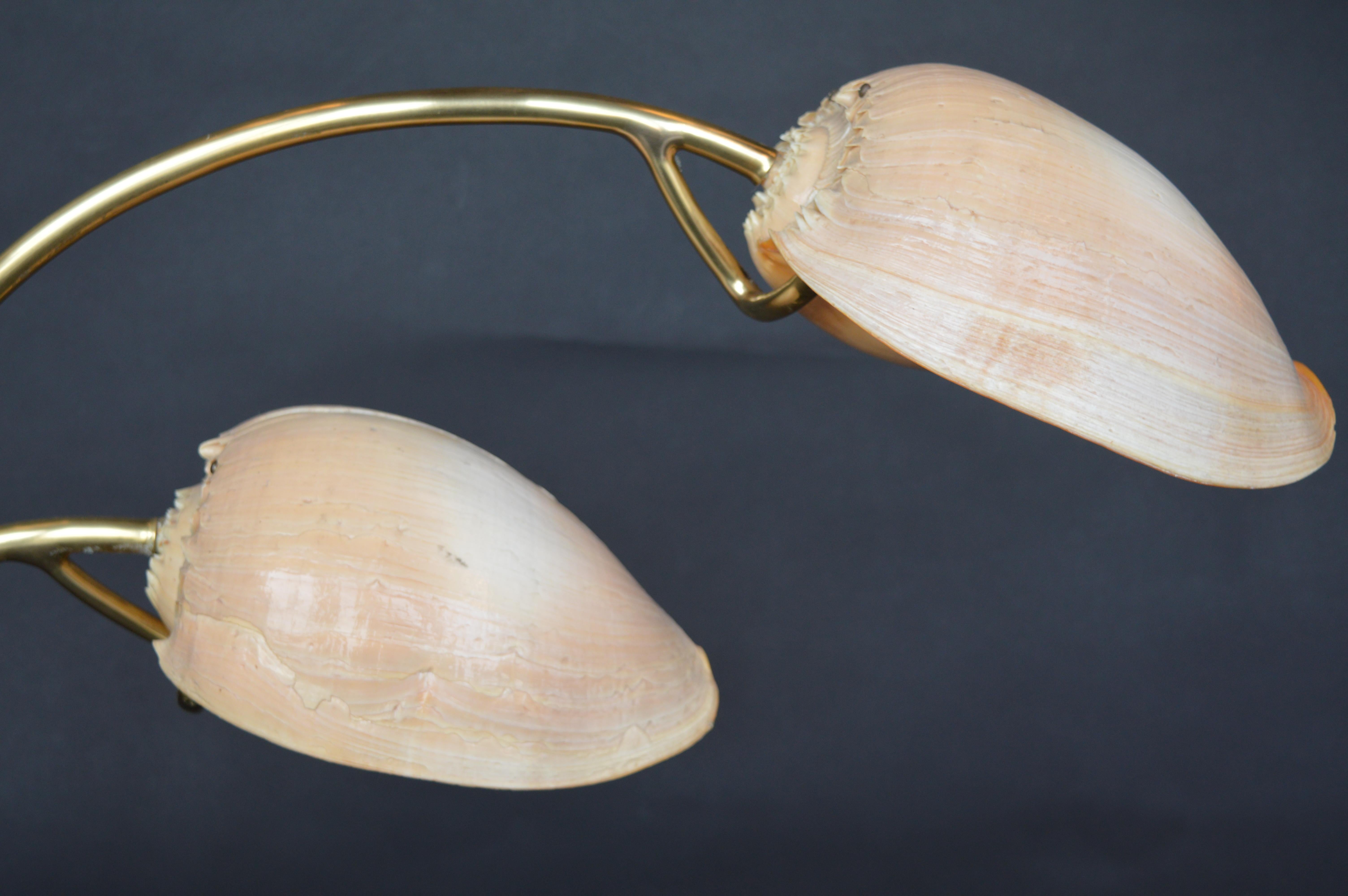Coquillage Lampe de table Conch Shell en vente