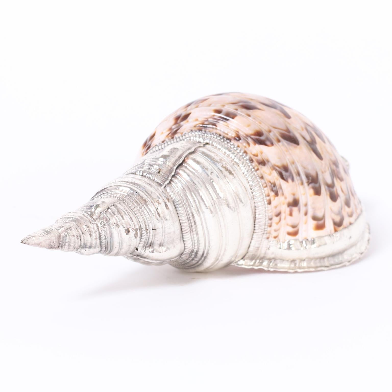 Mid century Italian organic conch shell decorated with silver plated enhancements, indistinctly signed by the artist.
