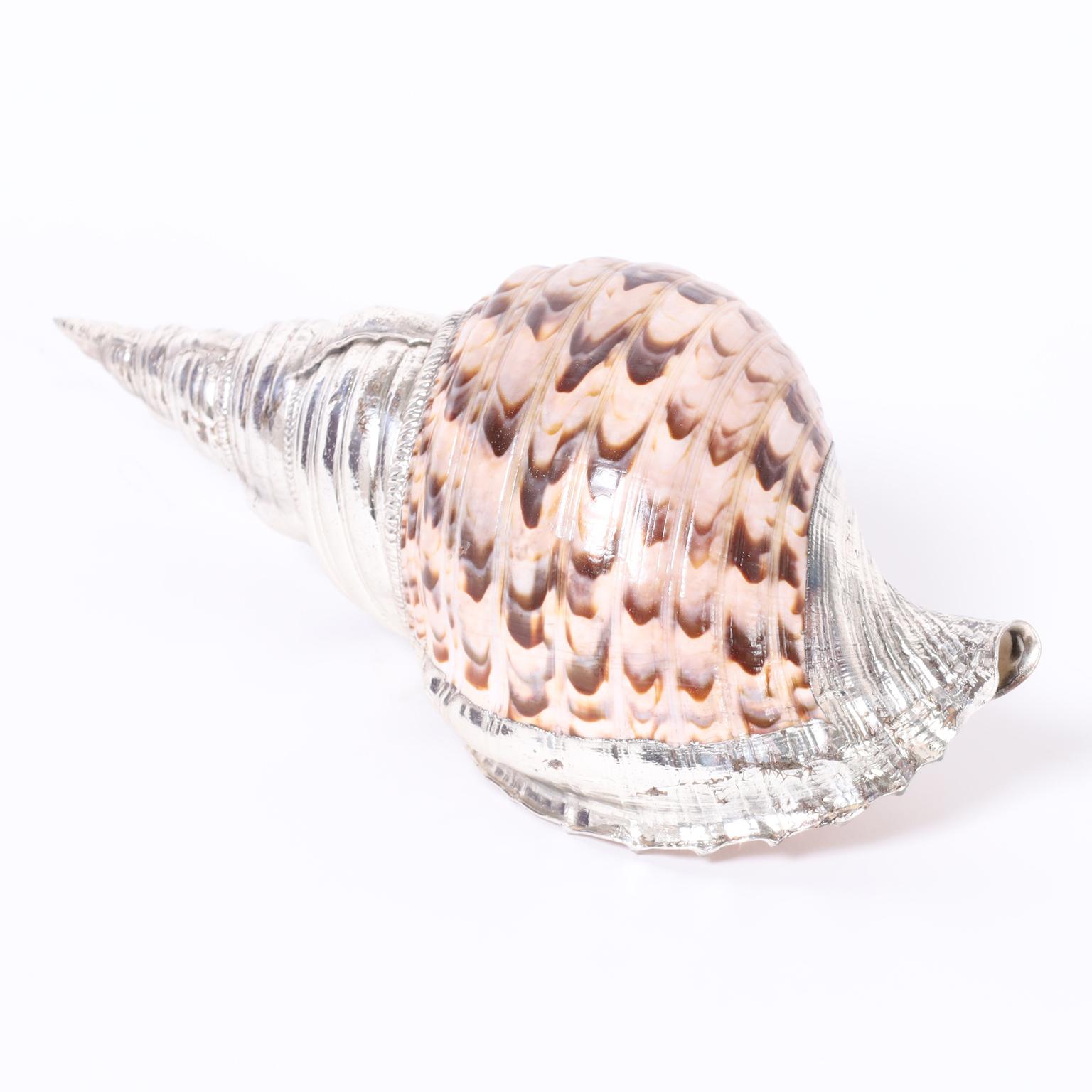 Mid-Century Modern Conch Shell with Silver Plate