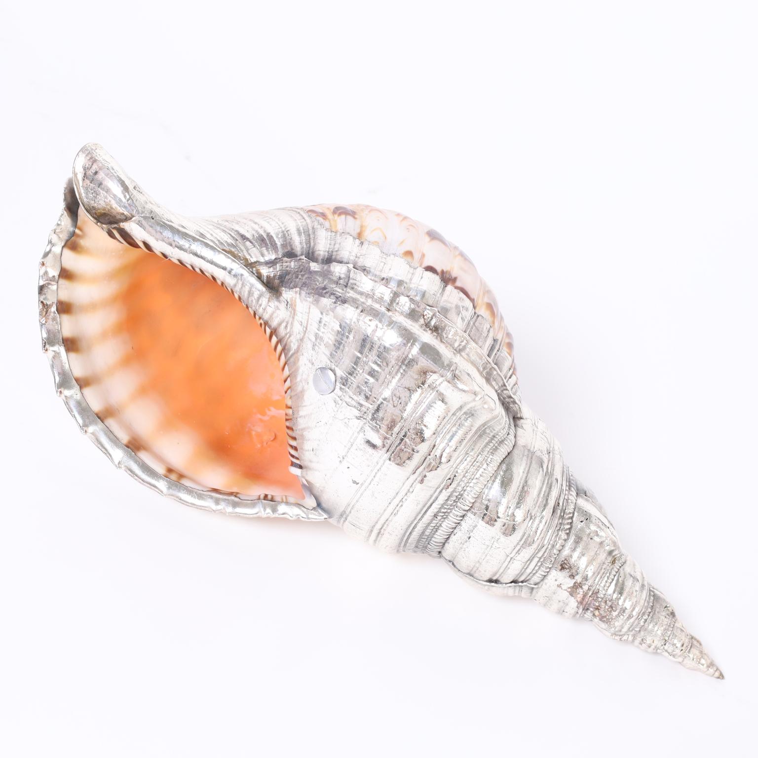 Hand-Crafted Conch Shell with Silver Plate