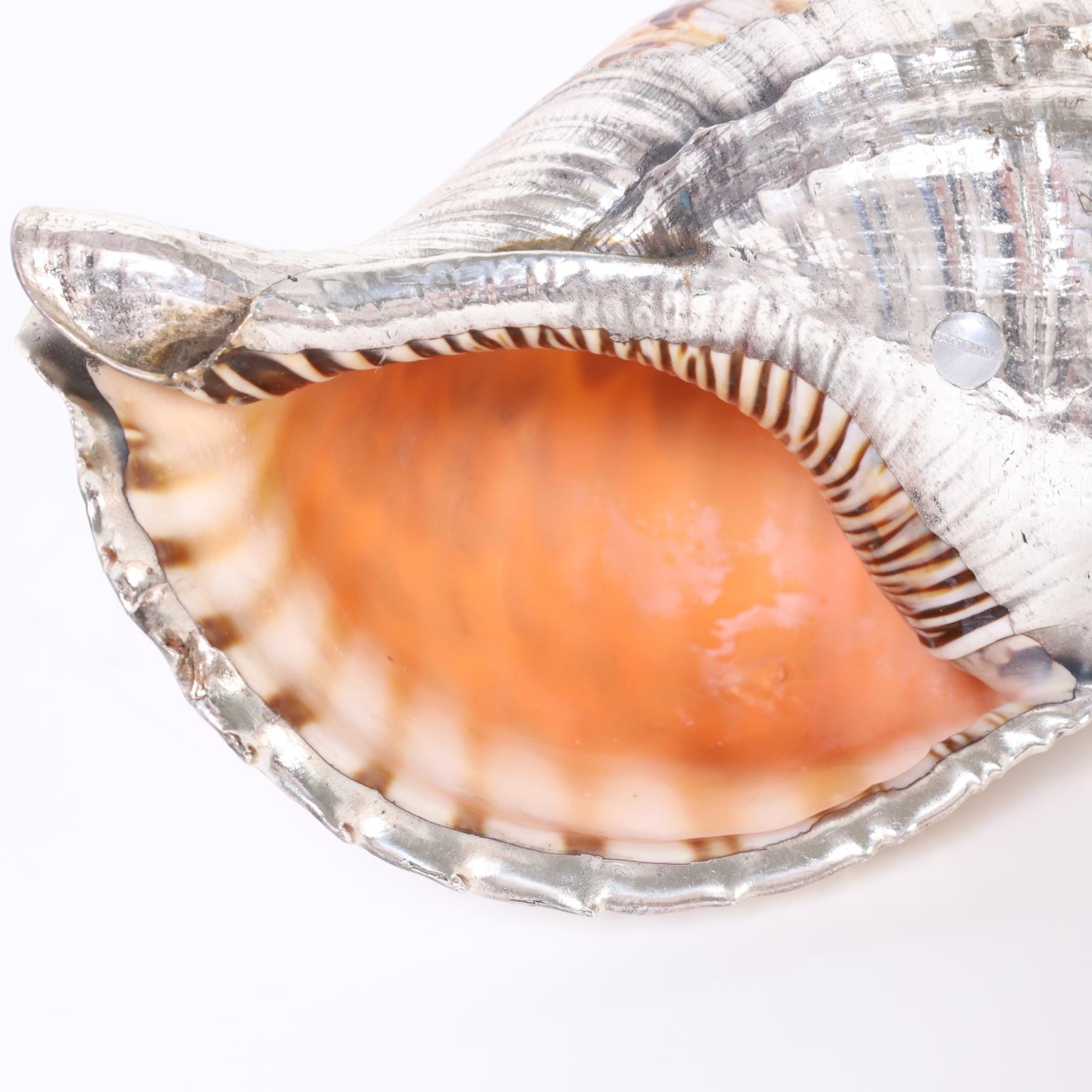 Conch Shell with Silver Plate In Good Condition In Palm Beach, FL