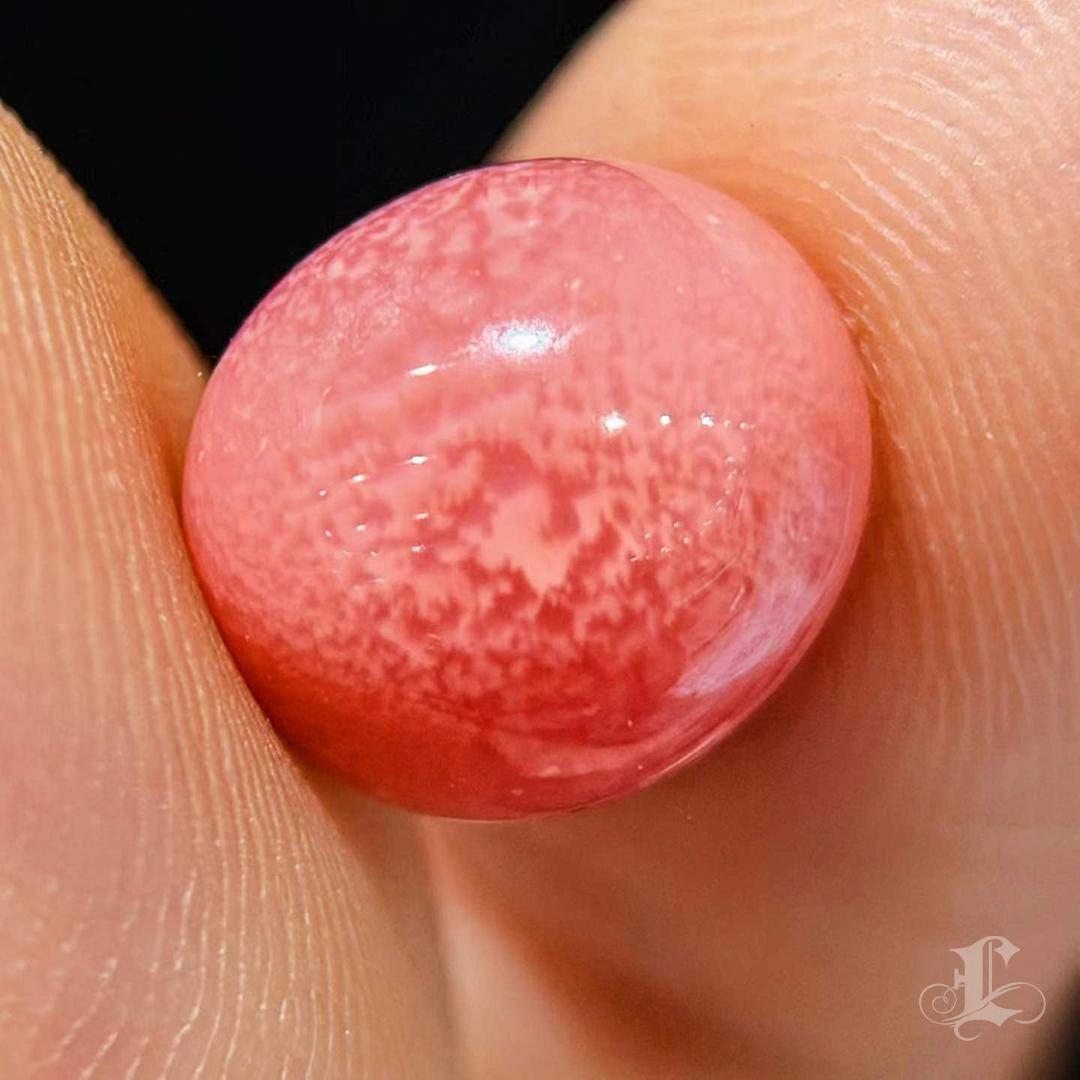 【Conchéa】5.55ct Flaming Coral Conch Pearl Gemstone In New Condition For Sale In New York, NY
