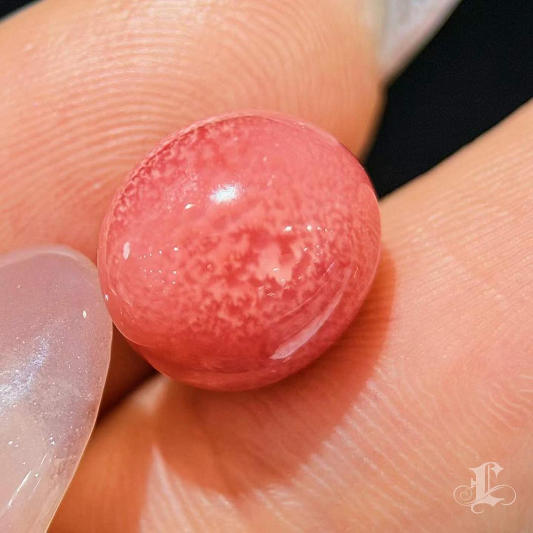 Women's 【Conchéa】5.55ct Flaming Coral Conch Pearl Gemstone For Sale
