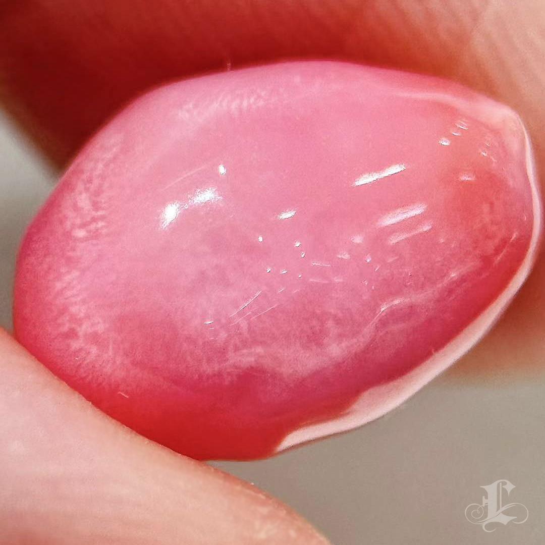 【Conchéa】Blushing Flame 5.46ct Conch Pearl Gemstone (New Arrival) Sin cortar en venta