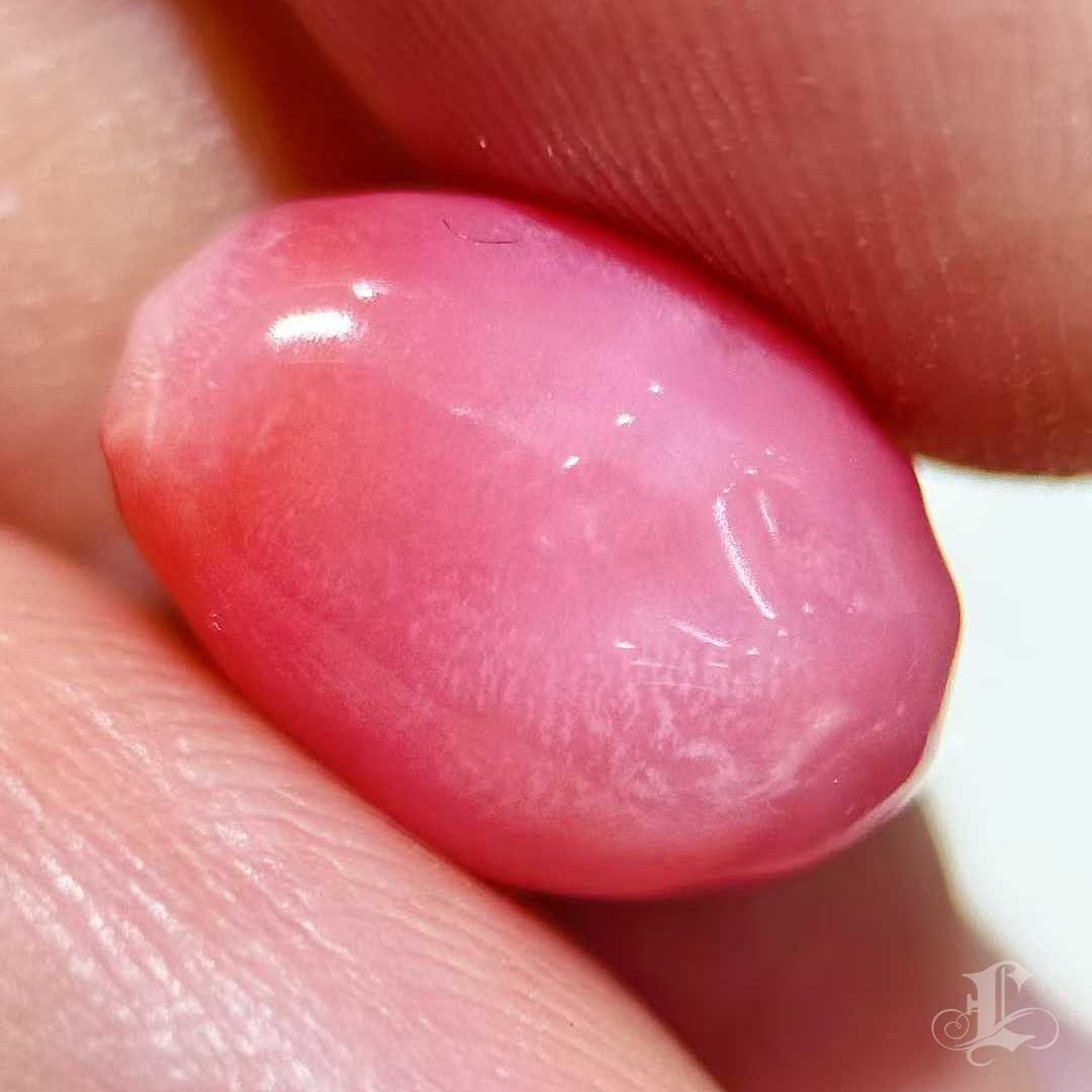 【Conchéa】Blushing Flame 5.46ct Conch Pearl Gemstone (New Arrival) en Nuevo estado para la venta en New York, NY