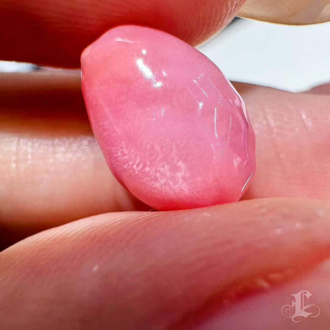 De las mujeres 【Conchéa】Blushing Flame 5.46ct Conch Pearl Gemstone (New Arrival) en venta