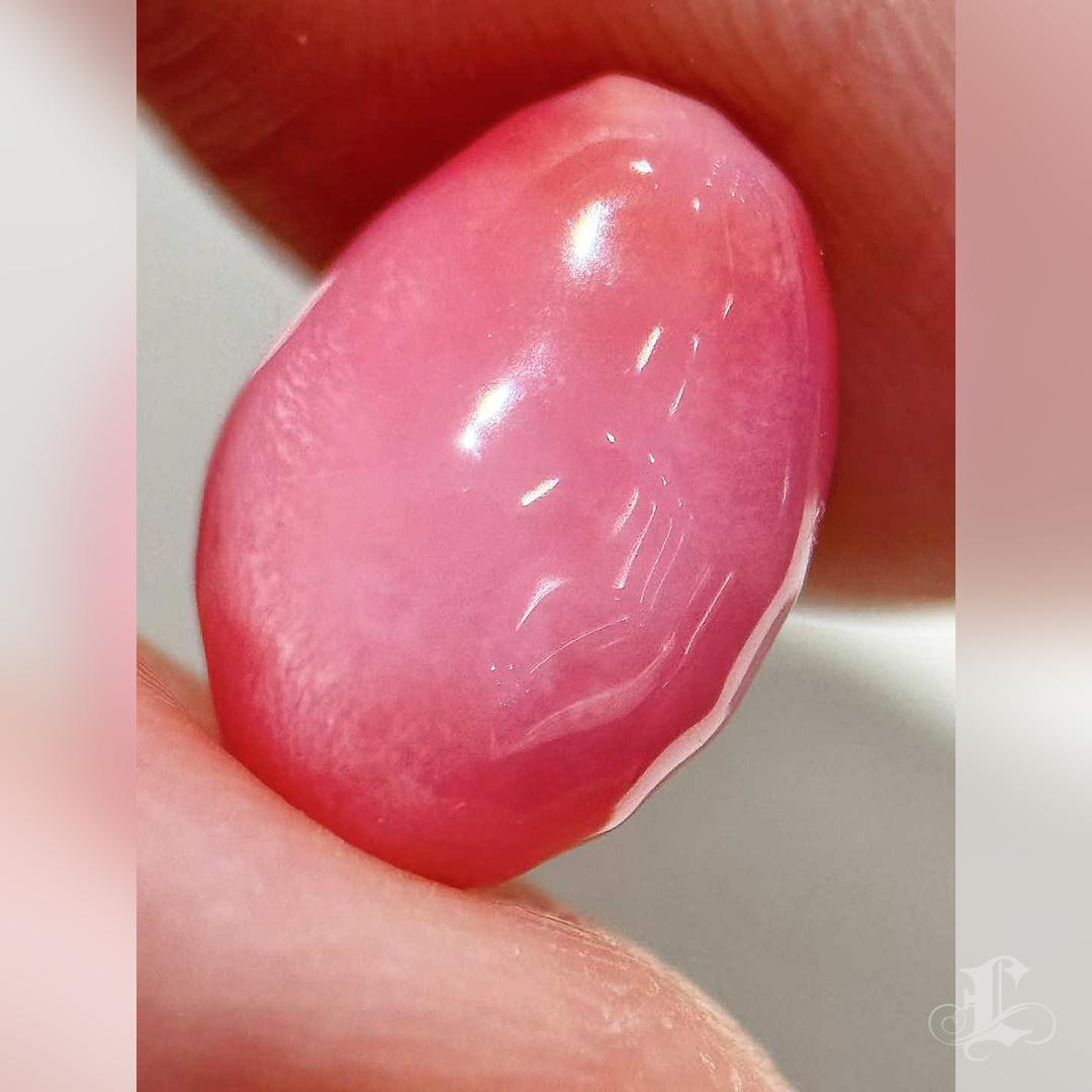 【Conchéa】Blushing Flame 5.46ct Conch Pearl Gemstone (New Arrival) en venta 3