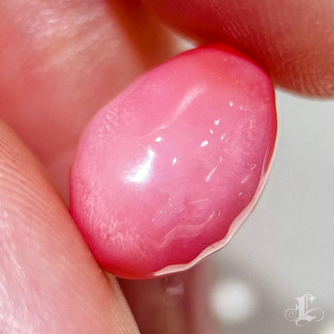【Conchéa】Blushing Flame 5.46ct Conch Pearl Gemstone (New Arrival) en venta 4