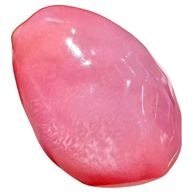 【Conchéa】Blushing Flame 5.46ct Conch Pearl Gemstone (New Arrival)
