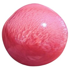 【Conchéa】Conch Pearl “Flamingo Reverie” Intense Pink Flame — 13.4 ct