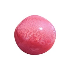【Conchéa】Conch Pearl “Flamingo Reverie” Intense Pink Flame — 13.4 ct