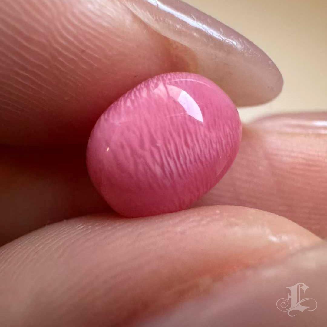 【Conchéa】Flamingo Aurora Collector’s Conch Pearl, 3.56ct, Flawless 9.1×7.3mm In New Condition For Sale In New York, NY