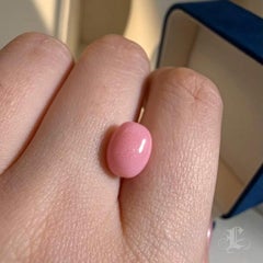 【Conchéa】Flamingo Essence Natural Conch Pearl — 3.84 ct