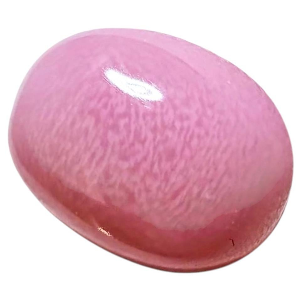 【Conchéa】Flamingo Essence Natural Conch Pearl — 3.84 ct