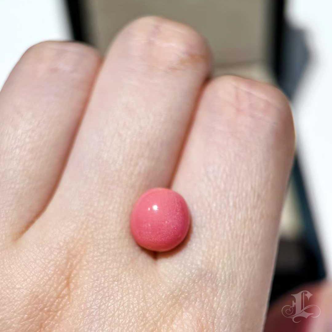 【Conchéa】Flamingo Flame 6.32ct Conch Pearl en vente 2