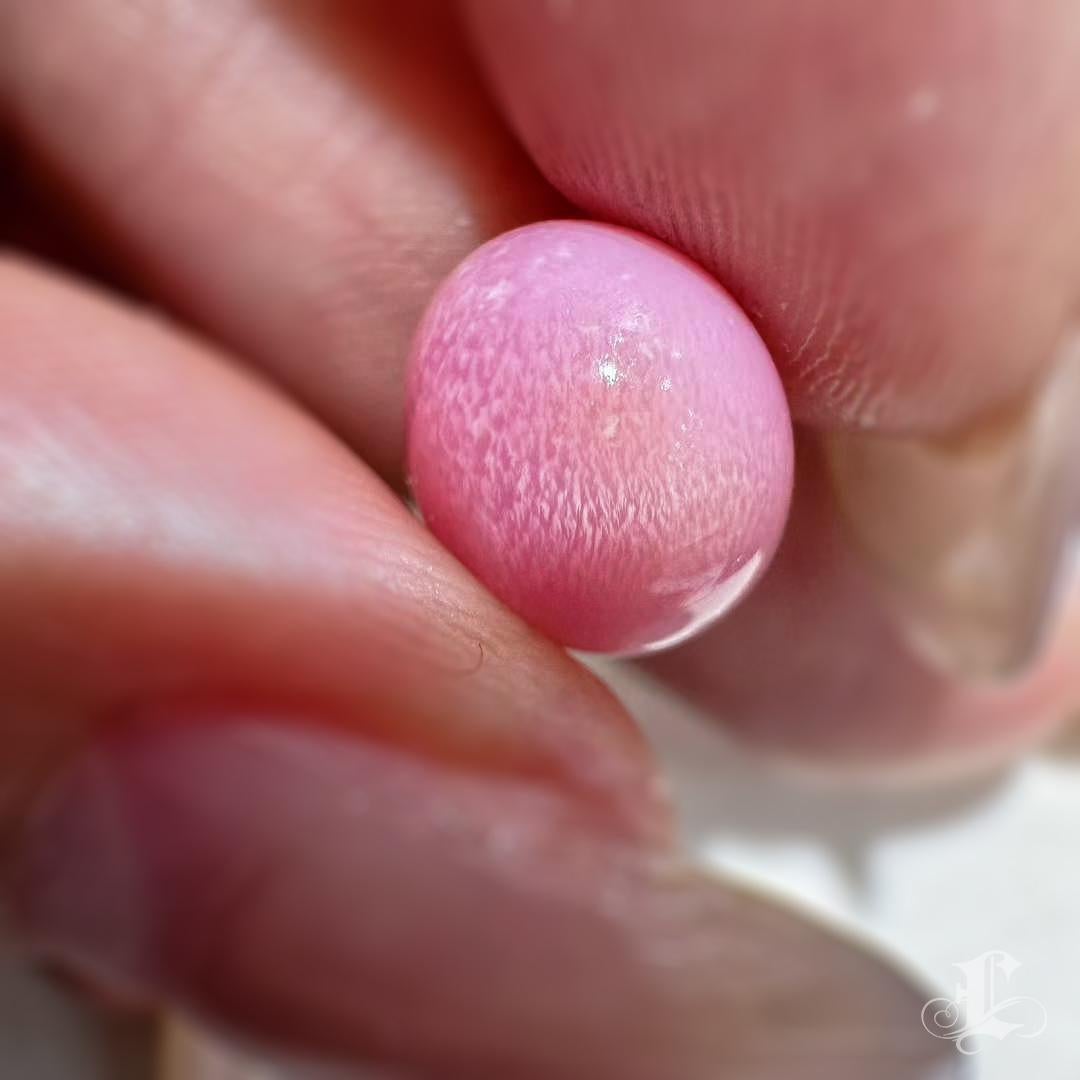【Conchéa】Flamingo Flame 7.66ct Conch Pearl Gemstone (New Arrival) en venta 6