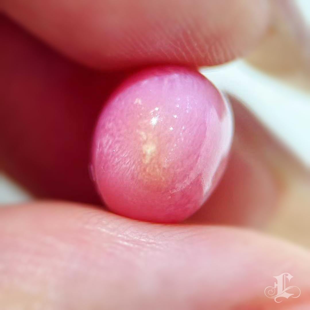 【Conchéa】Flamingo Flame 7.66ct Conch Pearl Gemstone (New Arrival) en venta 7