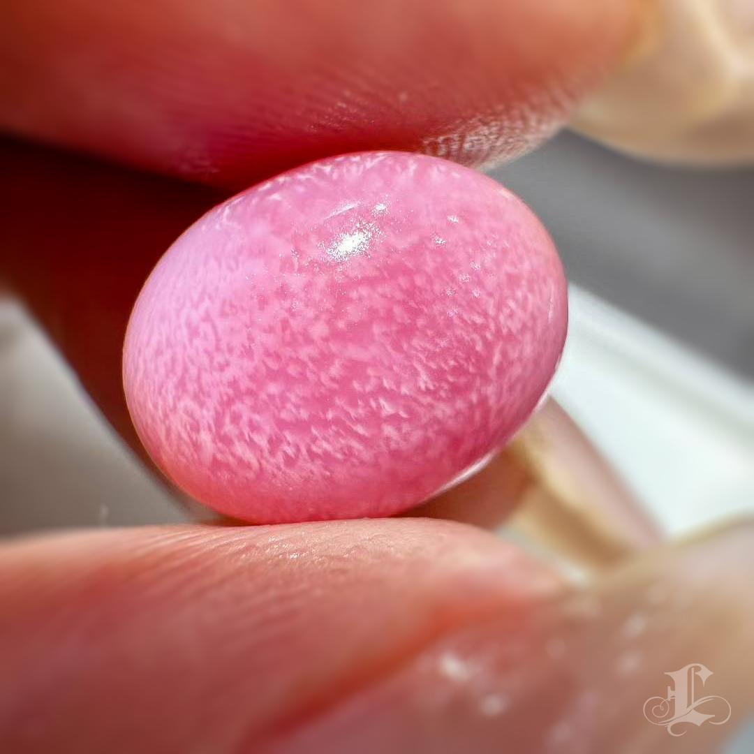 【Conchéa】Flamingo Flame 7.66ct Conch Pearl Gemstone (New Arrival) en Nuevo estado para la venta en New York, NY
