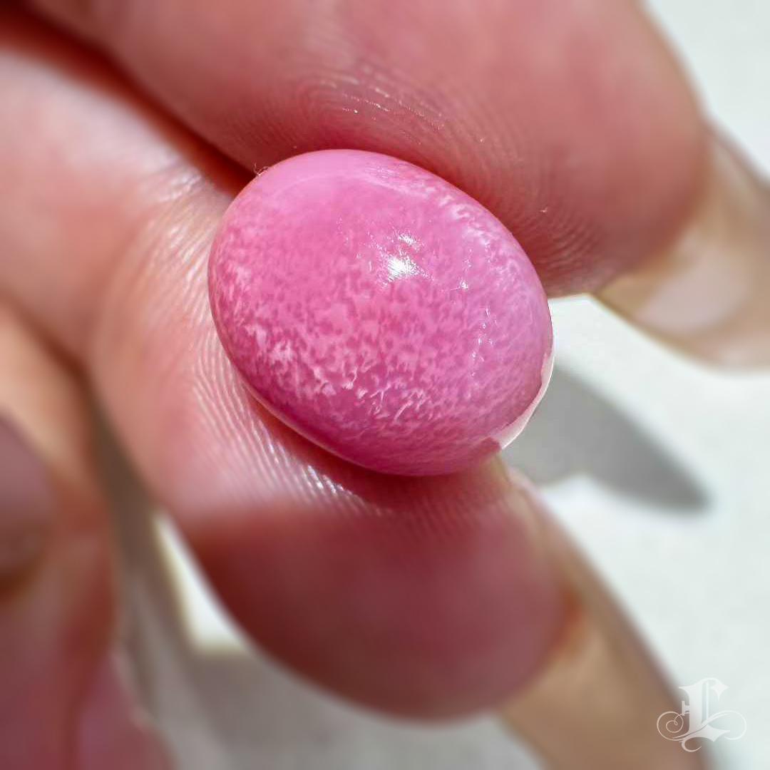 【Conchéa】Flamingo Flame 7.66ct Conch Pearl Gemstone (New Arrival) en venta 3
