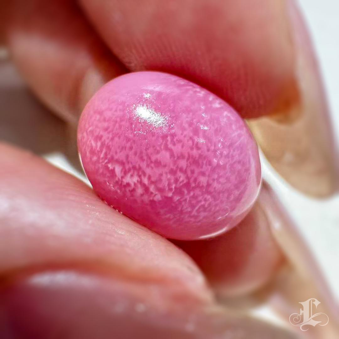 【Conchéa】Flamingo Flame 7.66ct Conch Pearl Gemstone (New Arrival) en venta 4