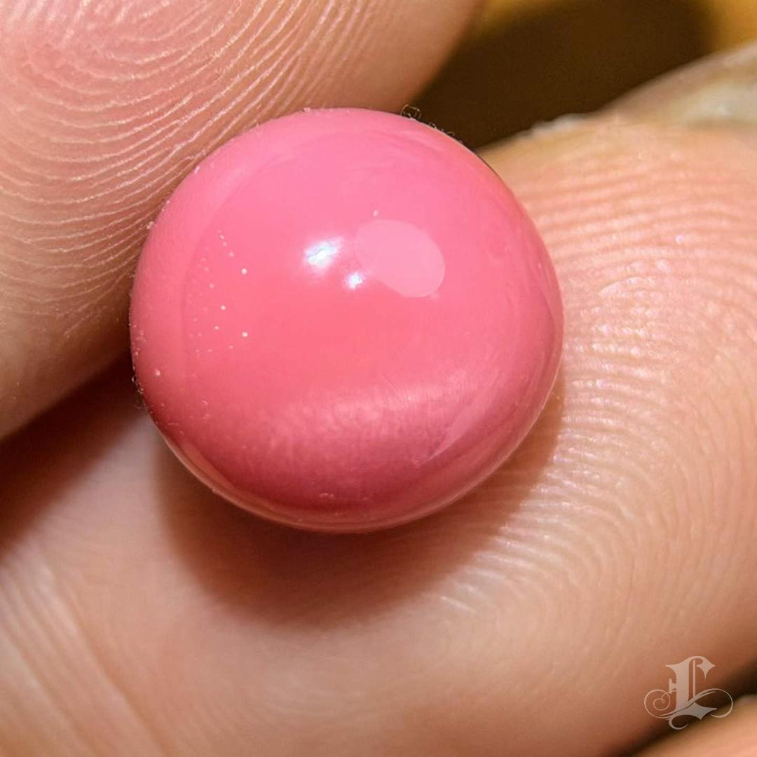 【Conchéa】Perla Concha Natural Rosa Flamenco - 4.59ct/8.7mm Sin cortar en venta