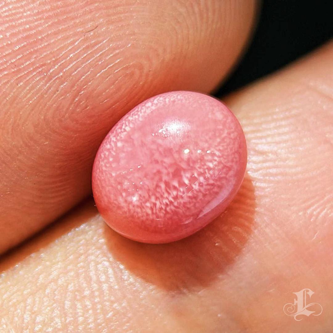 Uncut 【Conchéa】Flamingo Radiance Conch Pearl (Loose Gem) — 2.3ct For Sale
