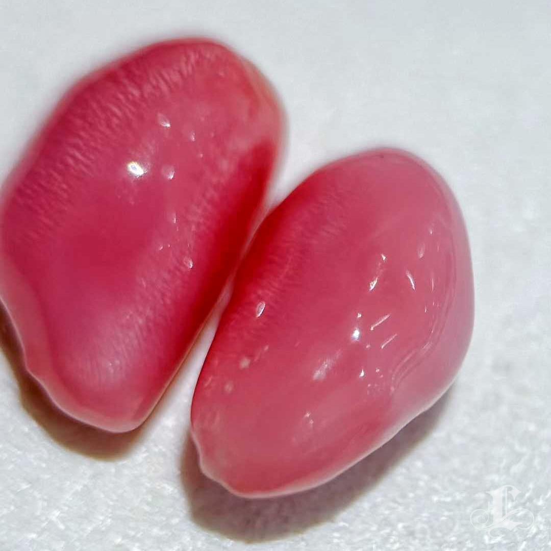 【Conchéa】Par de Perlas Conchéa Rosa Llama Emparejadas - 7.1ct en venta 3