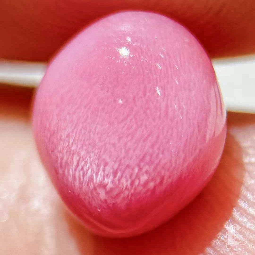 【Conchéa】Matched Pair of Flamingo Pink Conch Pearls  – 2.6ct & 3.12ct In New Condition For Sale In New York, NY
