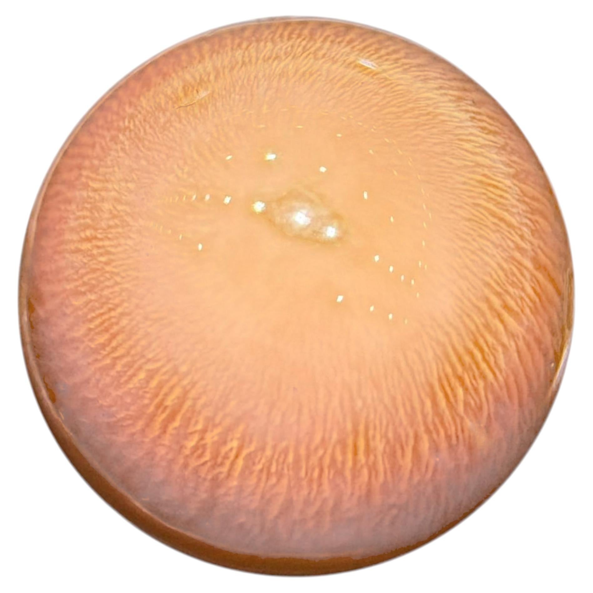 【Conchéa】Solar Flare — Collector Conch Pearl (19.91 ct)
