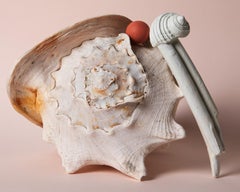conchiglia white handle