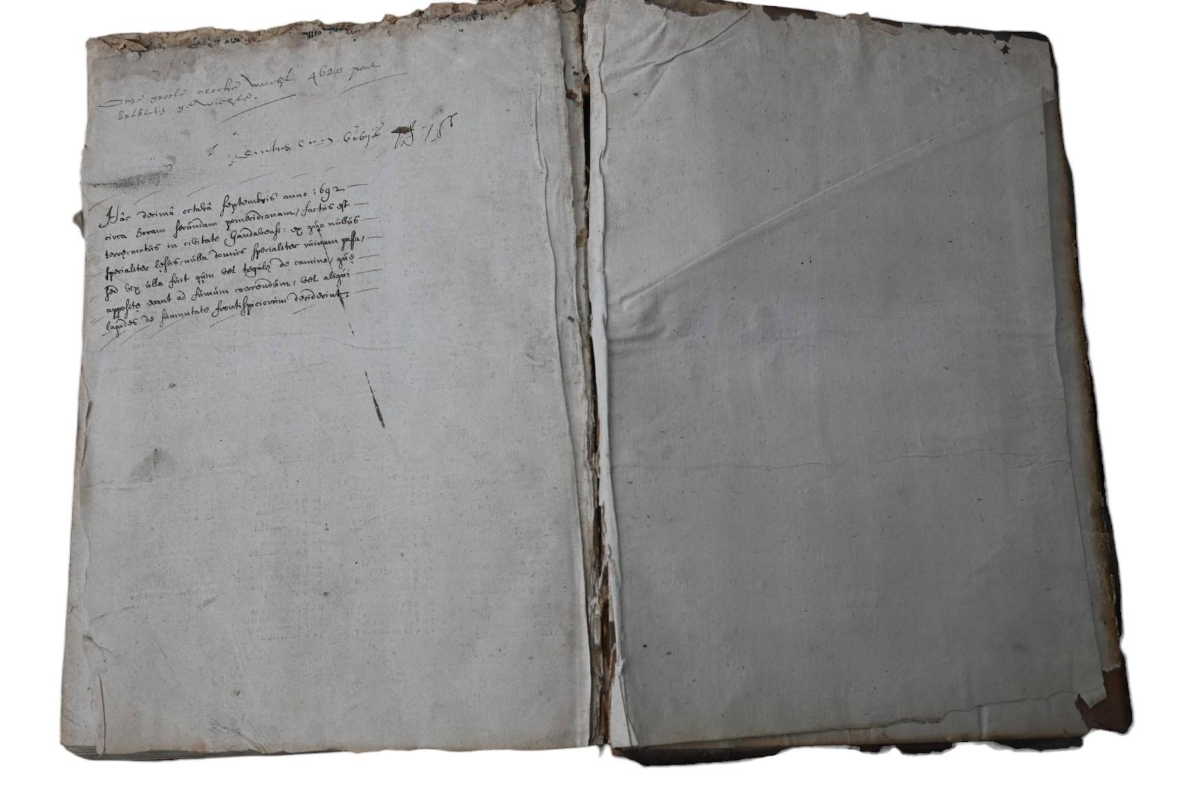 Concordantiae Maiores Sacrae Bibliae - 1526 - Druckerei Froben im Angebot 2