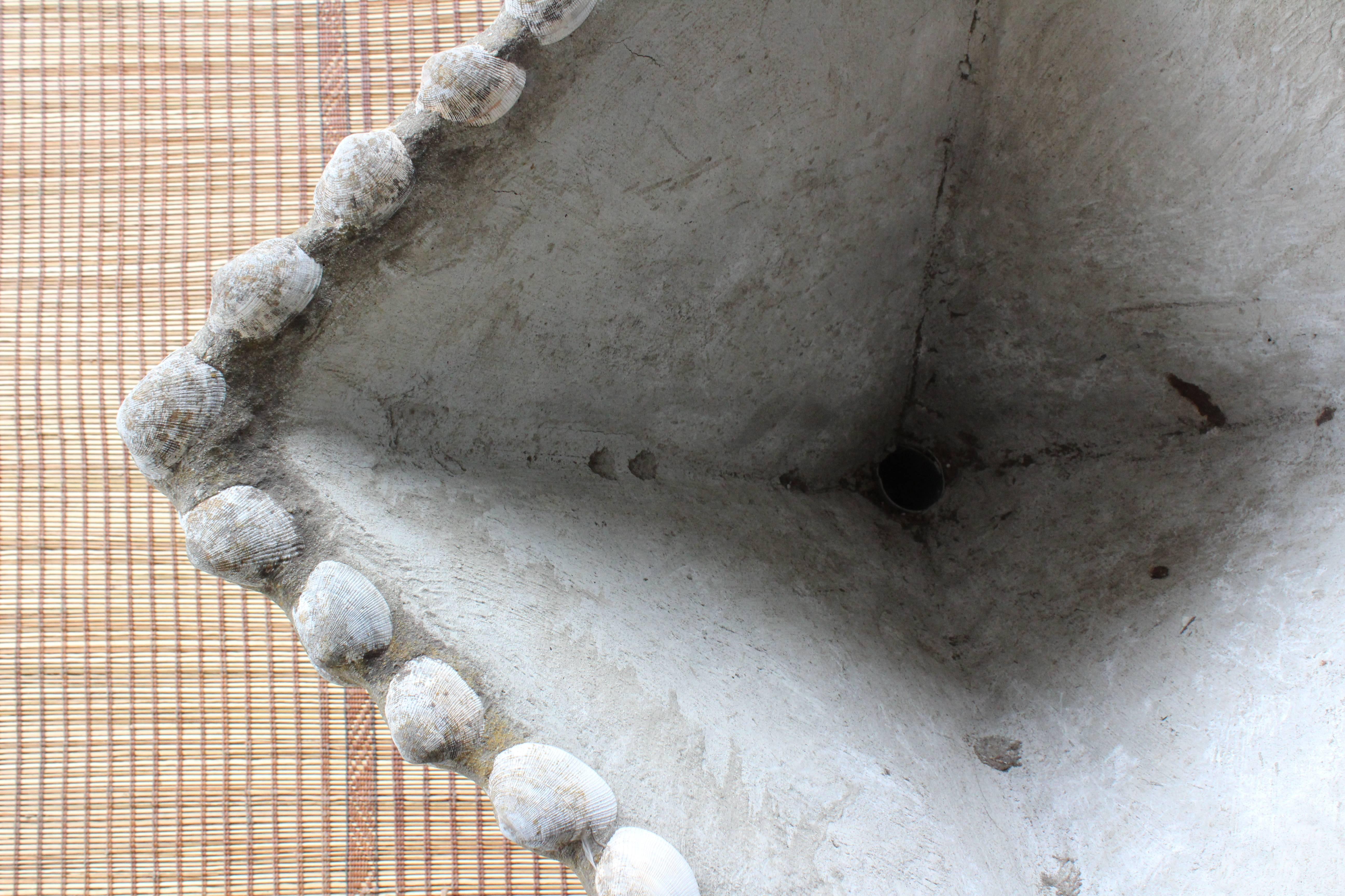 Mid-20th Century Concrete and Shell Planter, France, 1960s