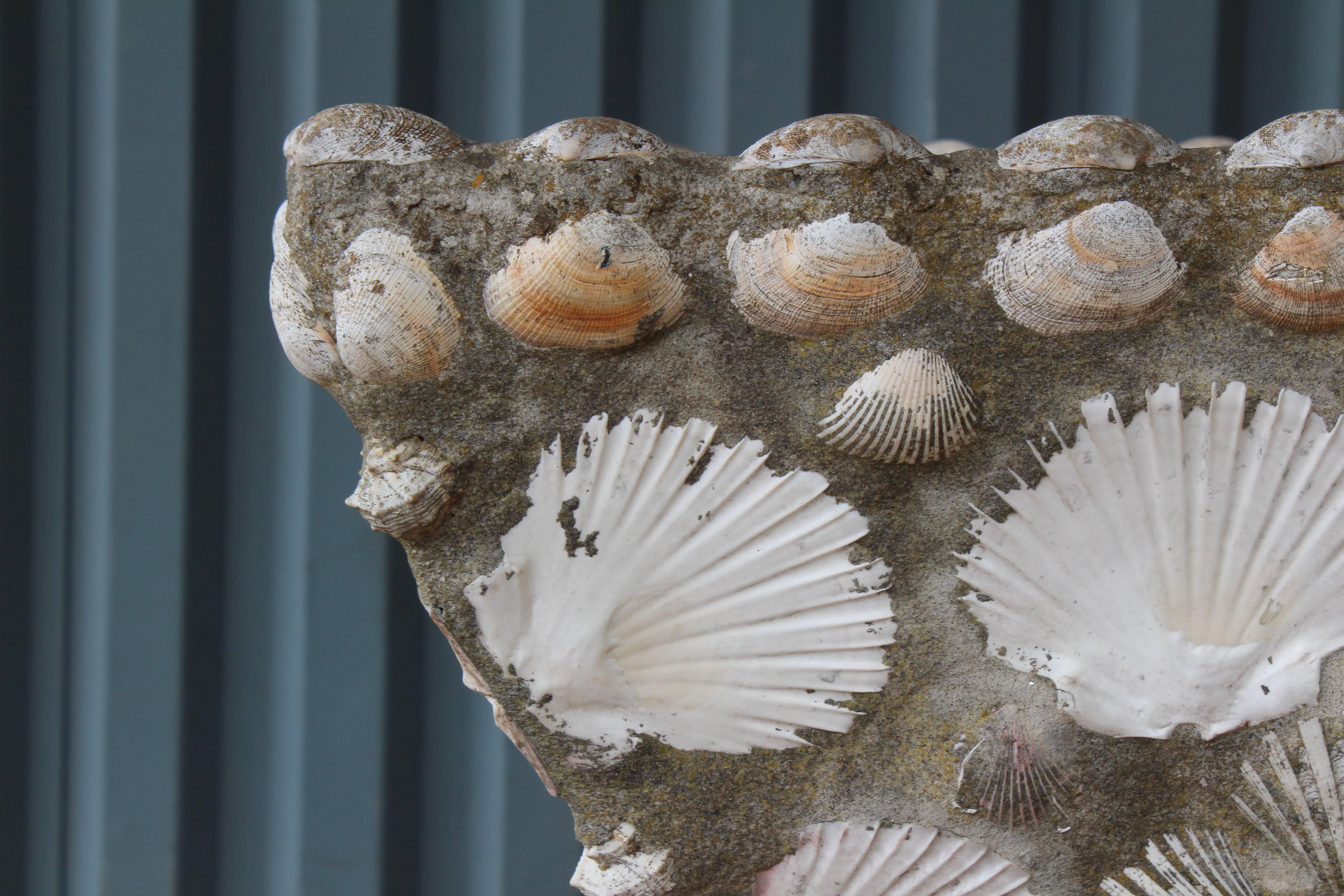 Concrete and Shell Planter, France, 1960s 2