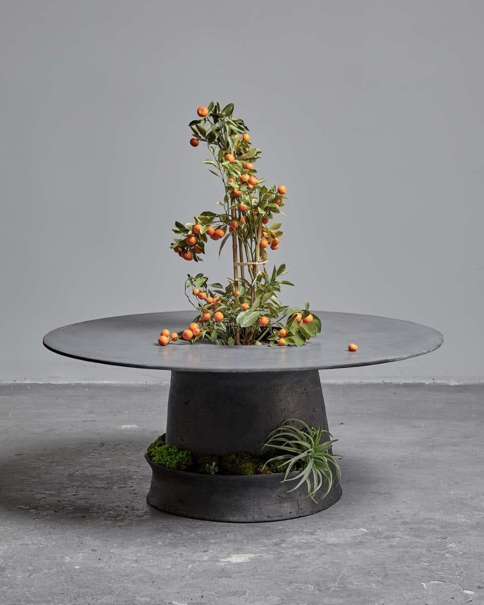 Opiary is a Brooklyn-based biophilic design and production studio. We integrate nature in each of our designs, incorporating live greenery and organic shapes into bespoke furniture, planters, and sculpture. Through the ethos of biophilia, our