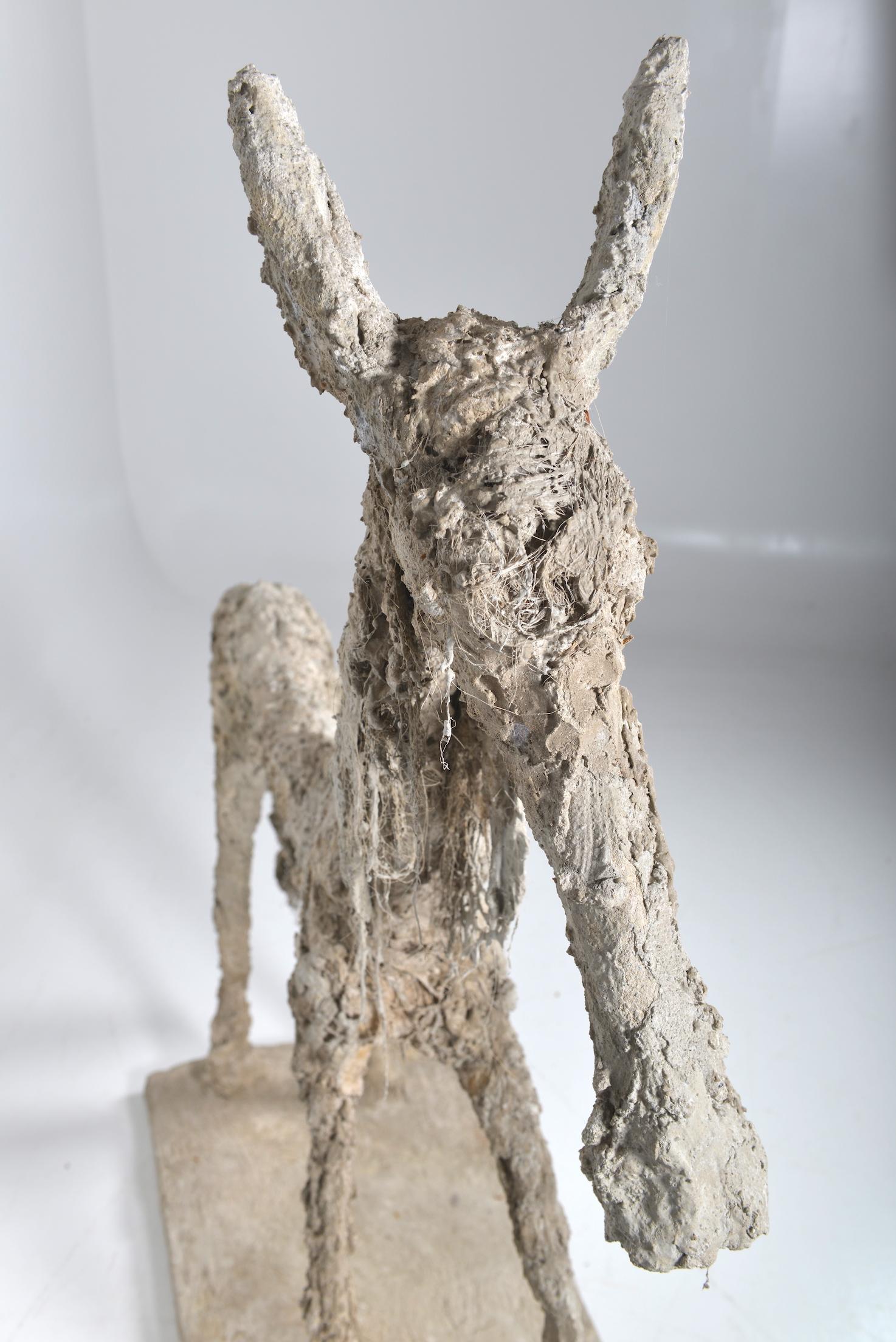 Concrete Donkey Signed R.Dubos, France, 1970s For Sale 3