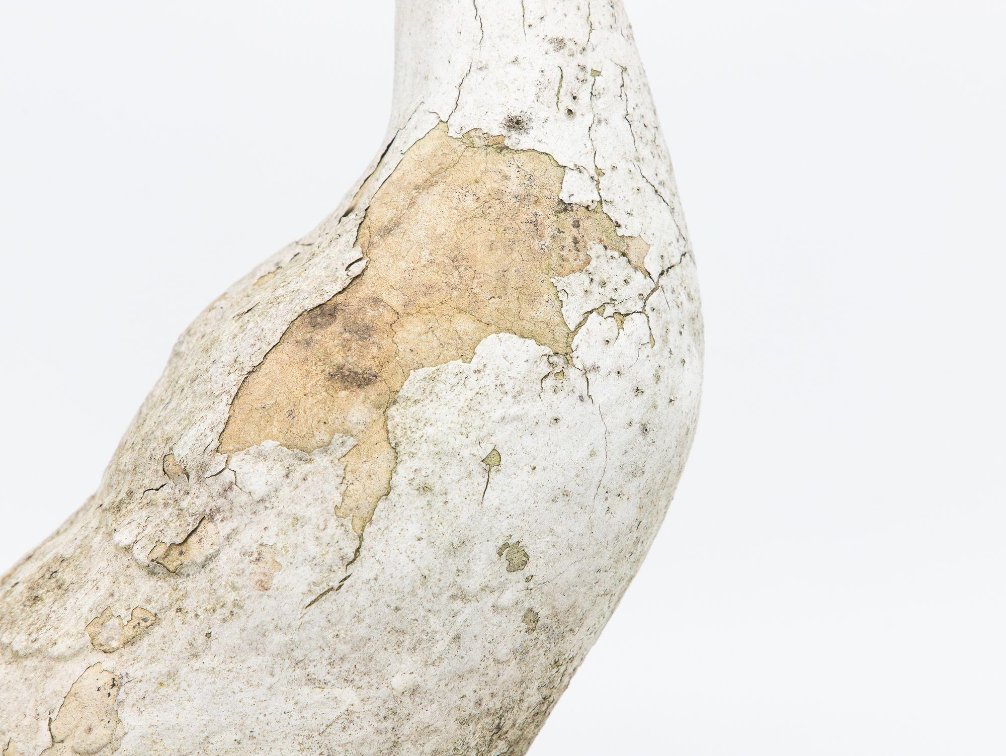 Concrete Duck Garden Ornament, French 20th Century 1