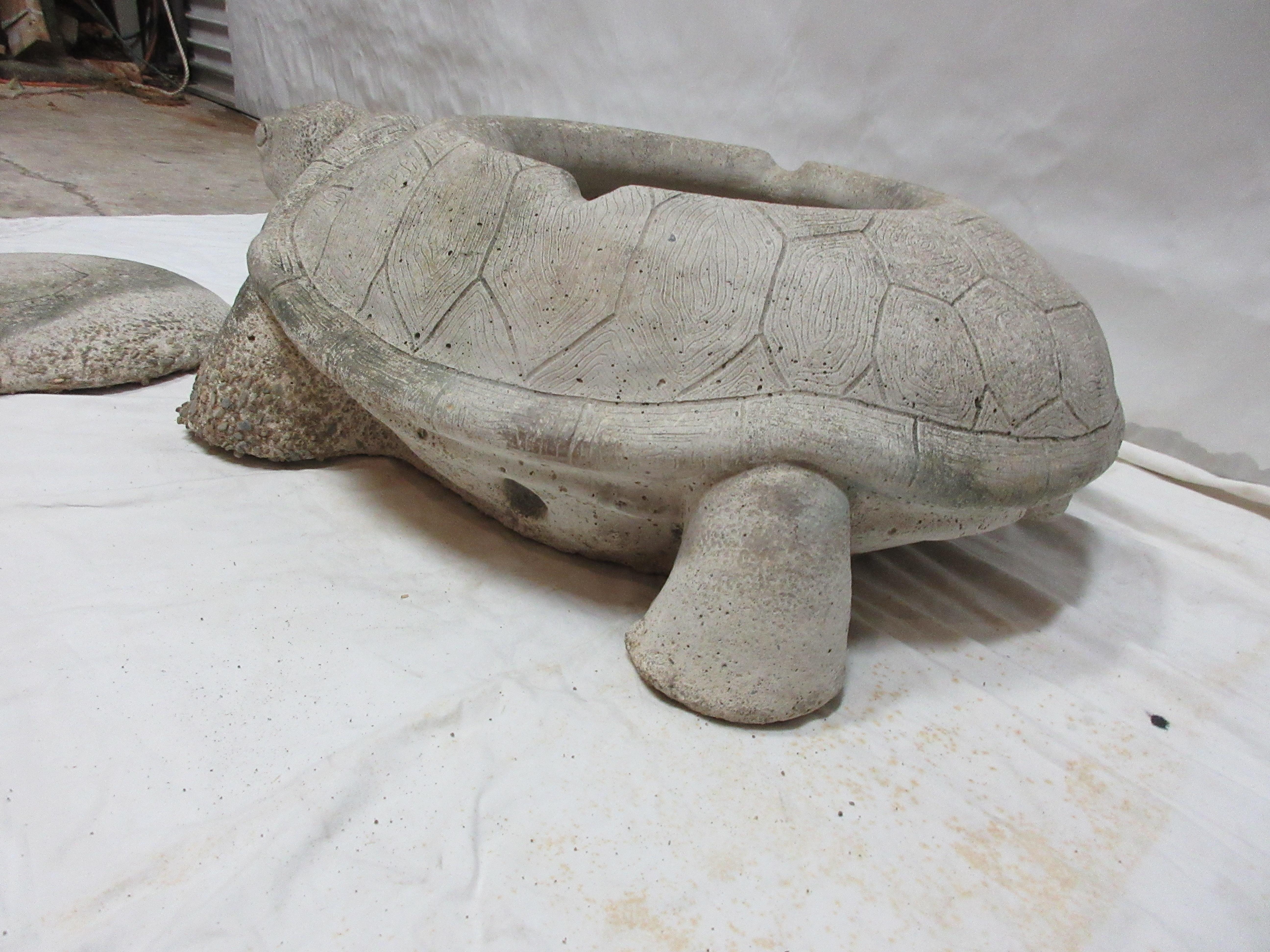 Concrete Garden Turtle 7