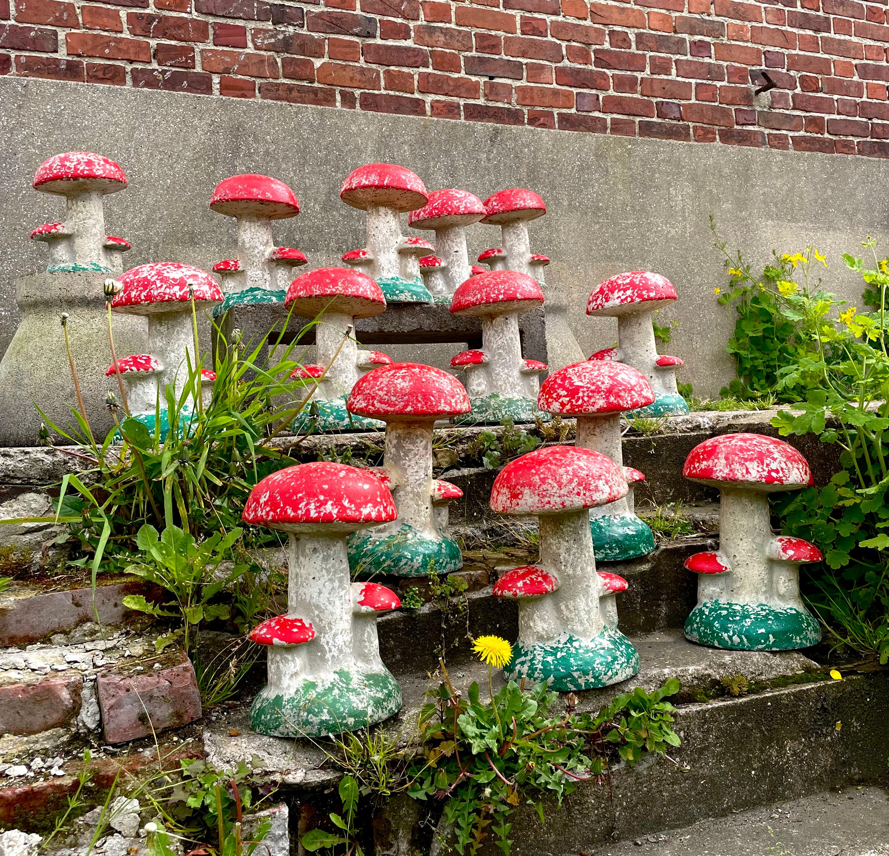 Set of concrete mushrooms circa 50.