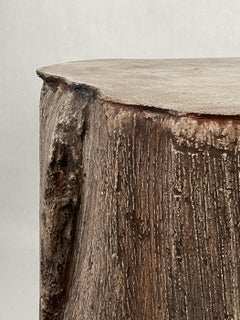 Organic Modern Concrete Palm Stump Side Table