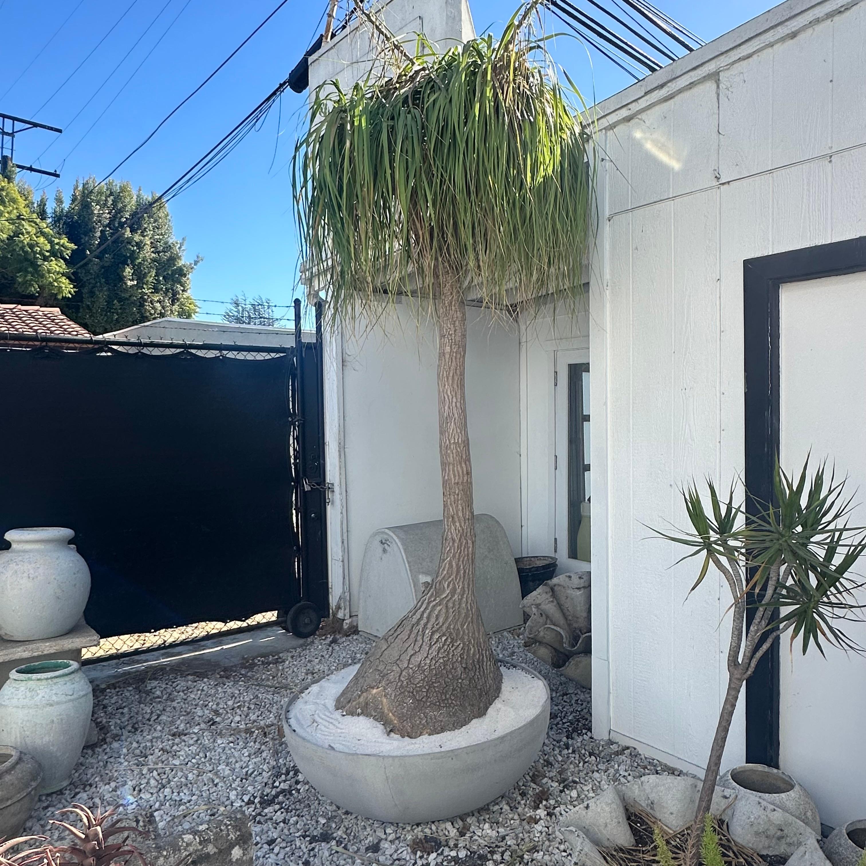 Massive circular planter hand-made and designed by Eternit, Switzerland. Planter is crafted from a special fiberglass and concrete material. Heavy and sturdy piece of functional art that will last a lifetime. 

Fitted inside the planter is a