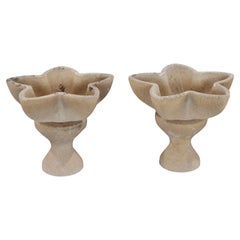 Planters and Jardinieres