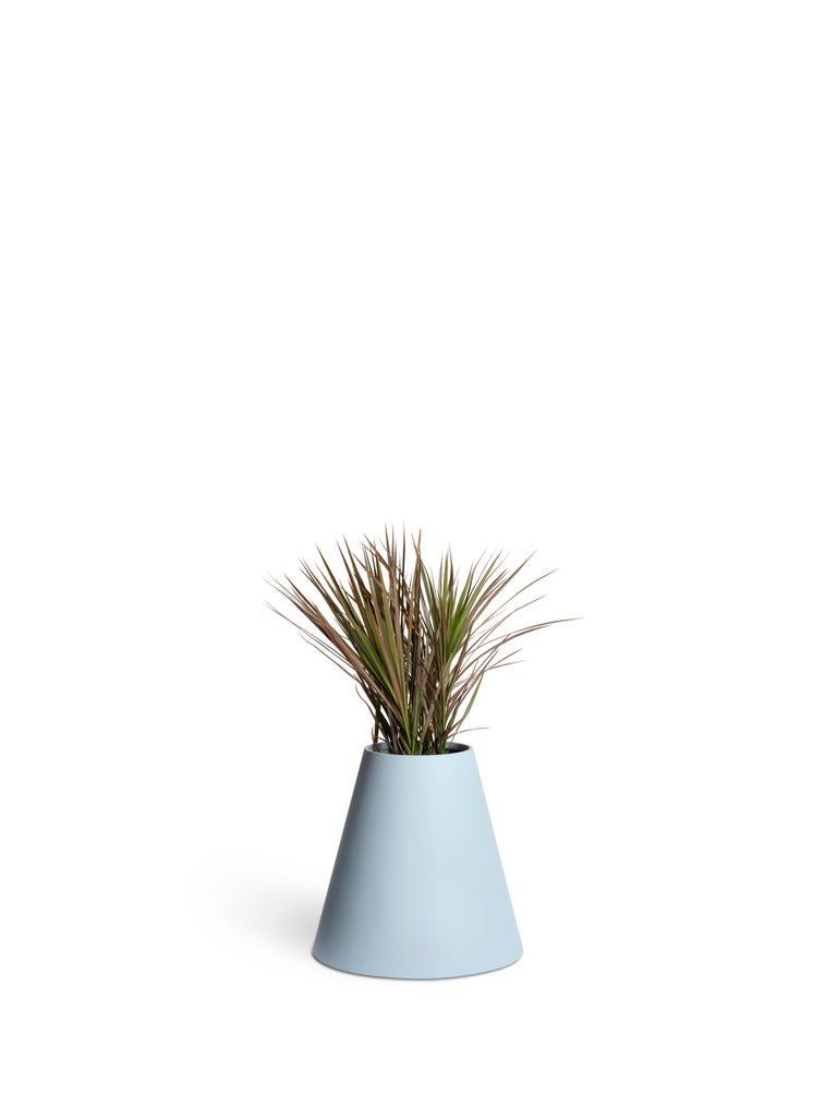 Fiberglass planters suitable for indoor or outdoor use. Made by hand in Vietnam. Lead time 8 weeks unless in stock.

Available in:
Sky
Mustard
White

Dimensions: Base 22”, opening 9”, height 20”.