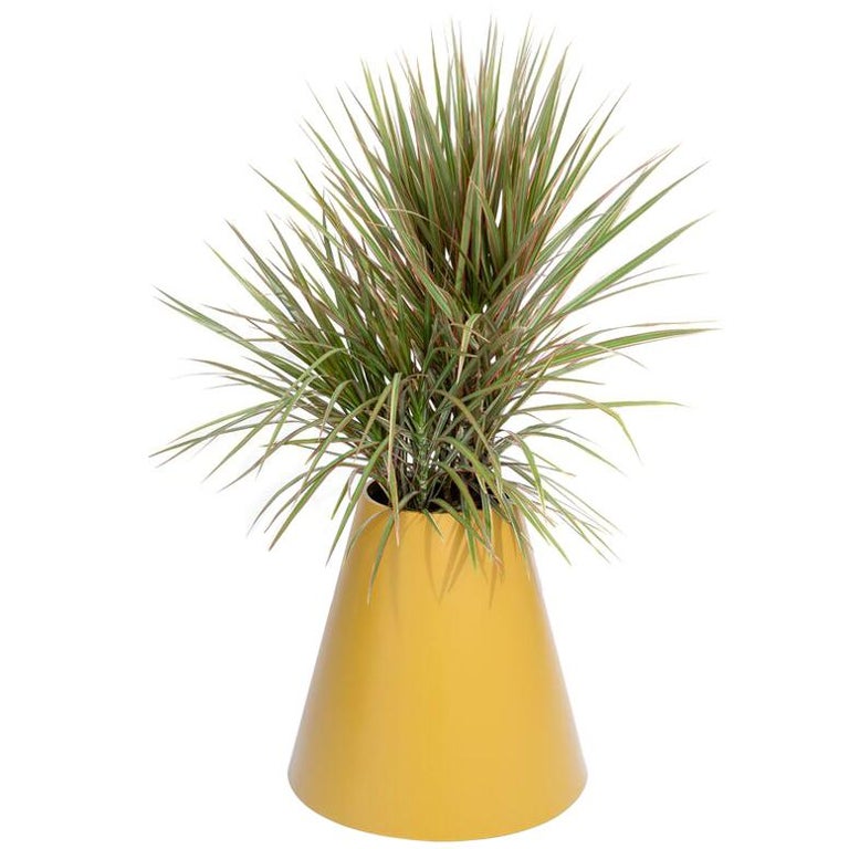 Cone Planter by Pieces, Yellow Fiberglass Planters For Sale