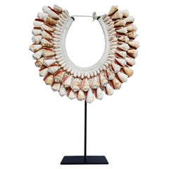 Cone Shell Necklace on Stand, Papua New Guinea